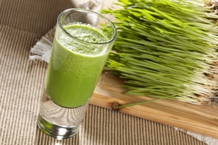 Wheatgrass